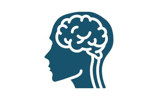 Brain