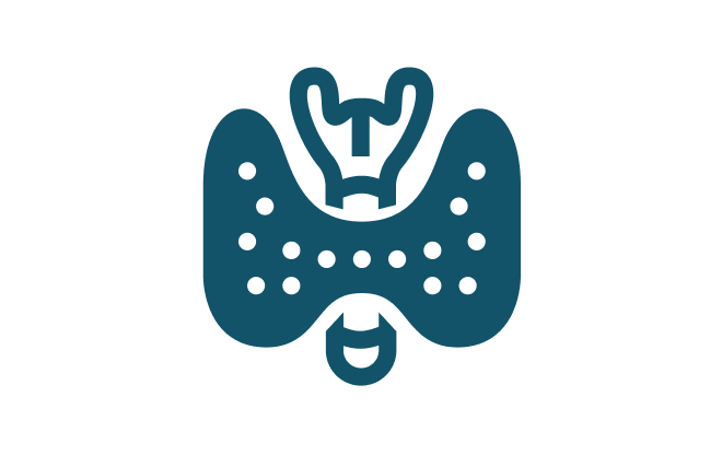 Thyroid