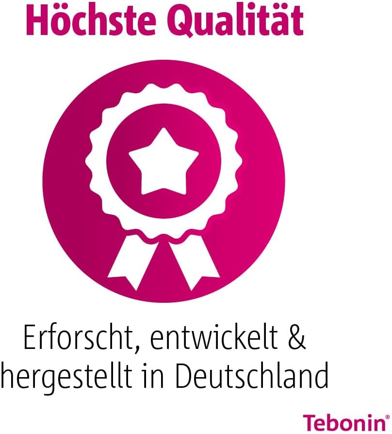 Tebonin Konzent 240 mg