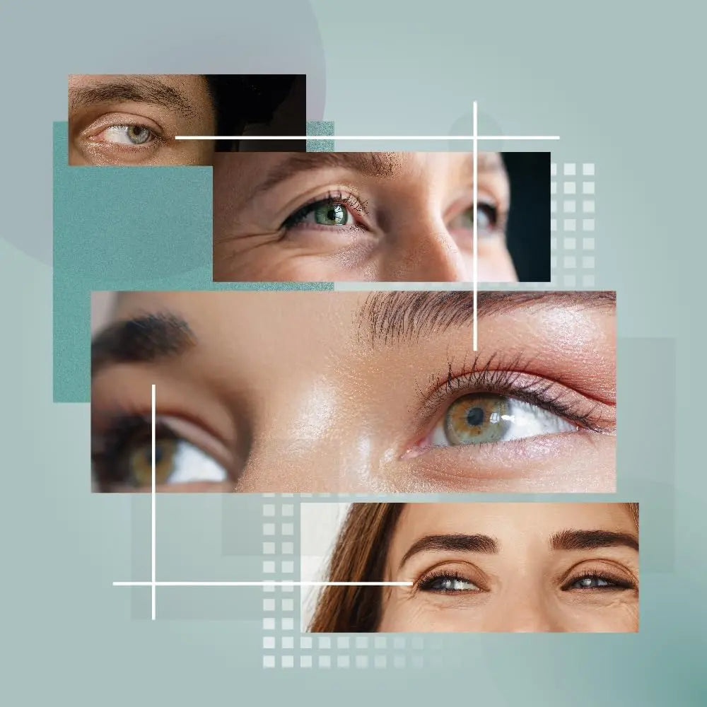 Sanct Bernhard Eye Fit