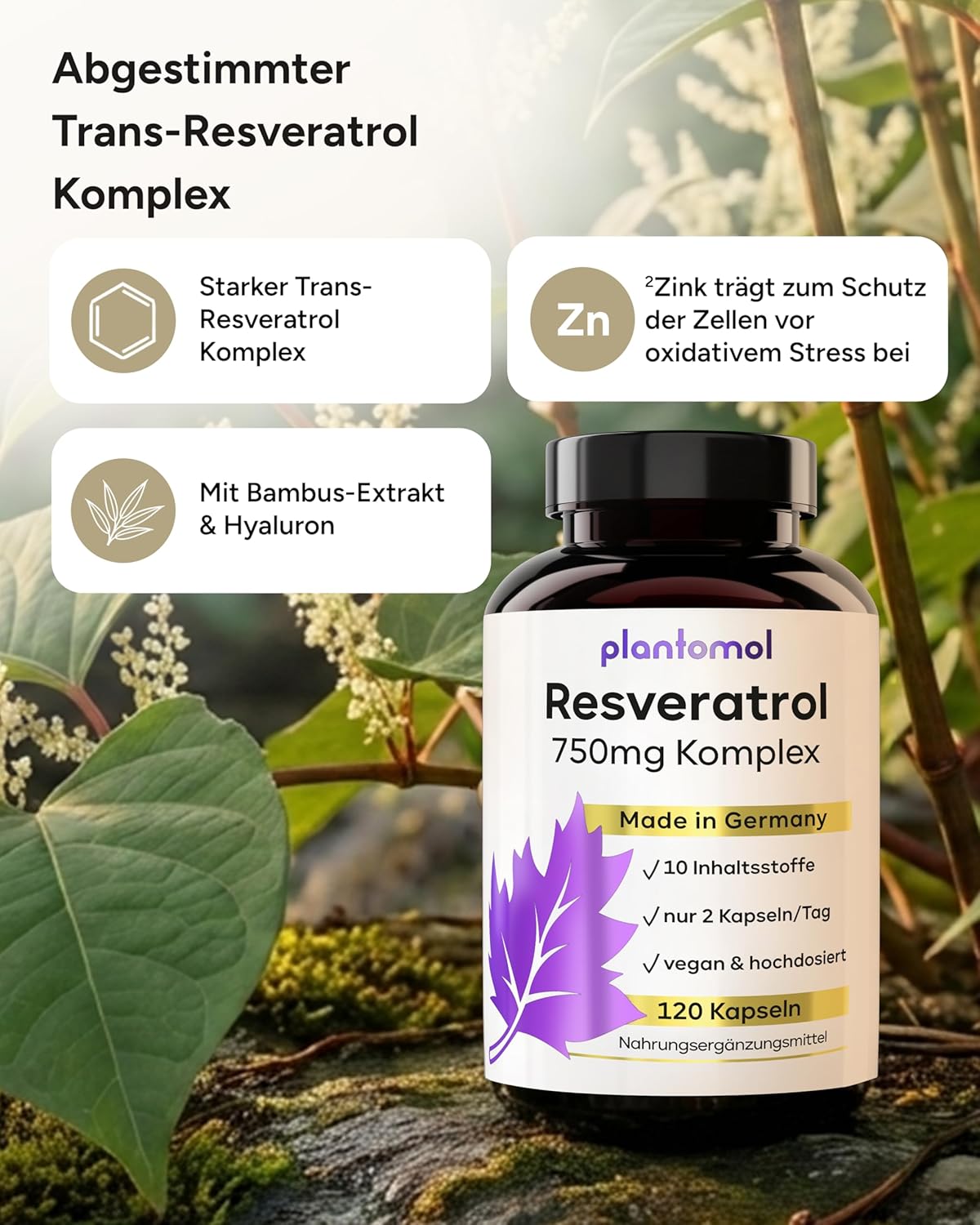 بلانتومول ريسفيراترول 750 ملغ مركب 120 كبسولة