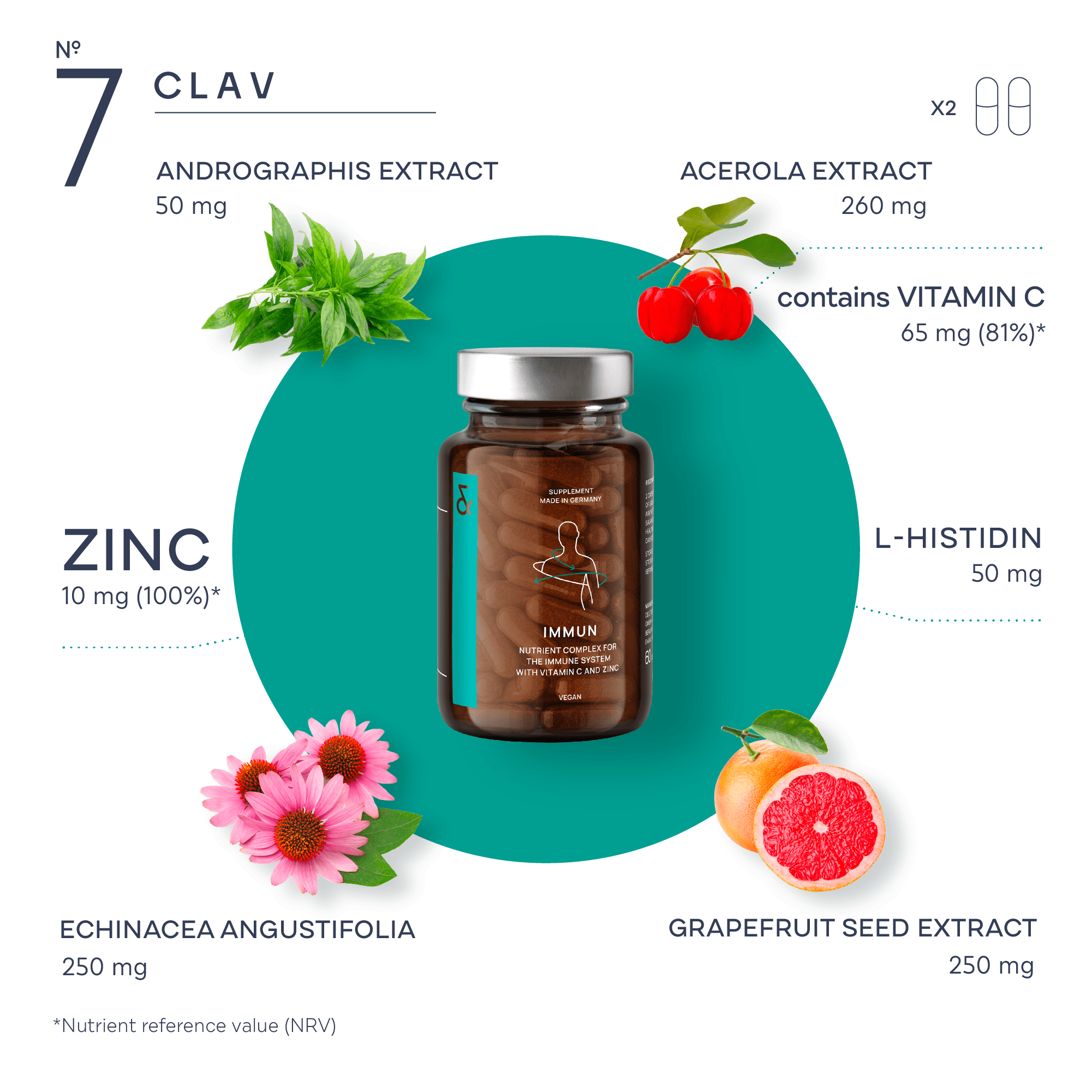 IMMUNE | Das Immunsystem stärken