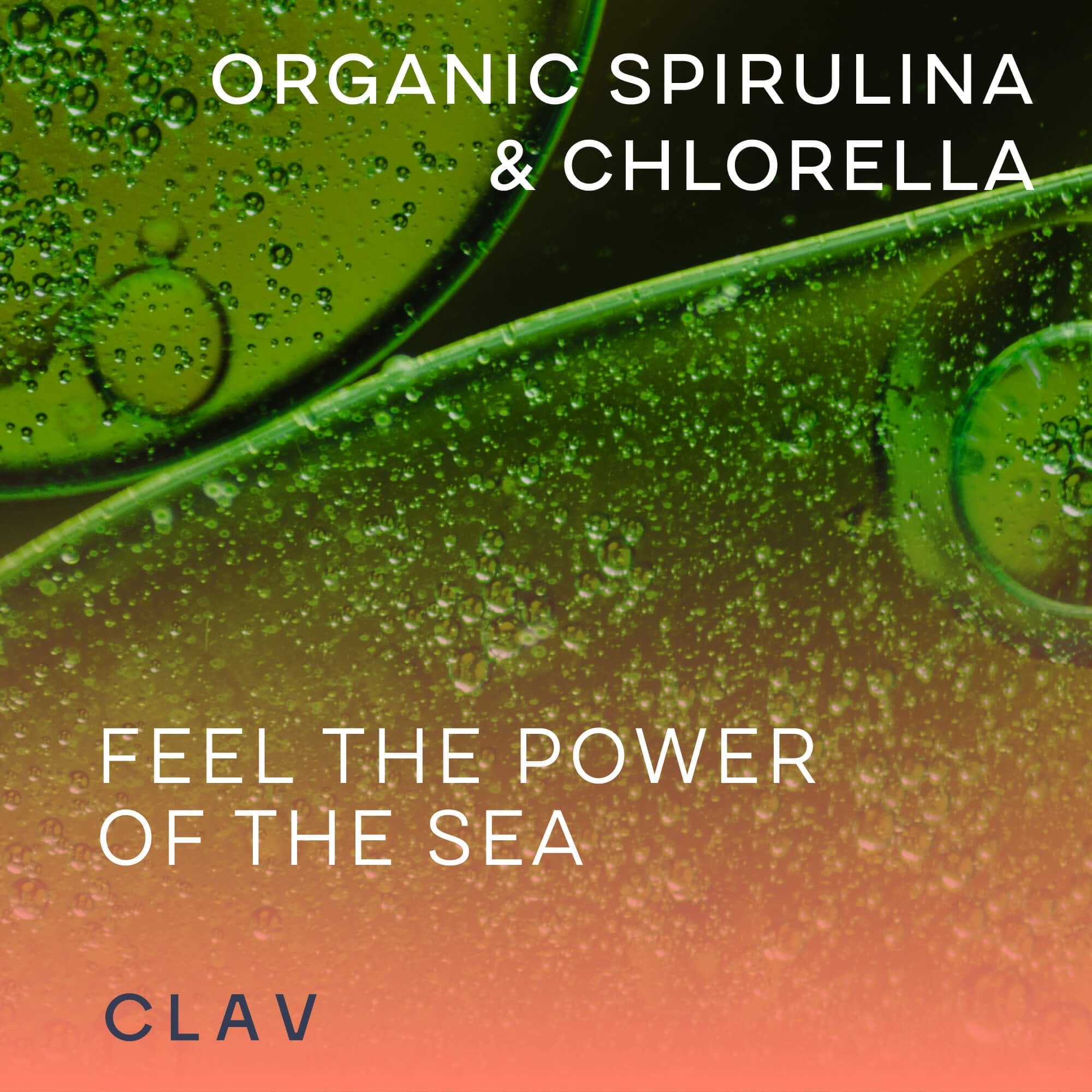 Organic Spirulina and Chlorella