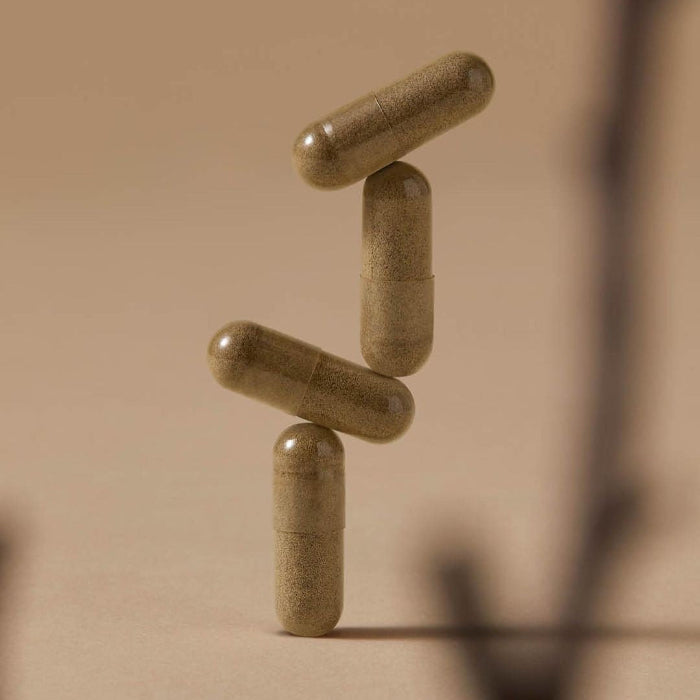 German Supplements LLC