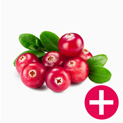 Orthomol, Pro Cran Plus, 60 Capsules