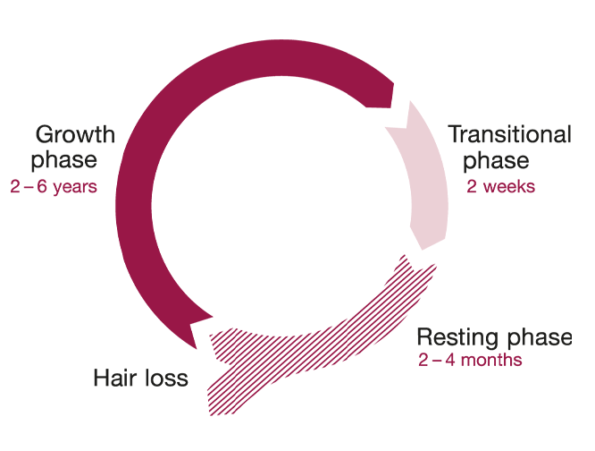 Orthomol, Hair Intense, 30 Capsules