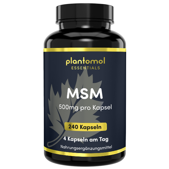 MSM - 500mg pro Kapsel